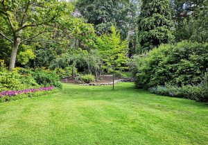 Optimiser l'expérience du jardin à Moissy-Cramayel